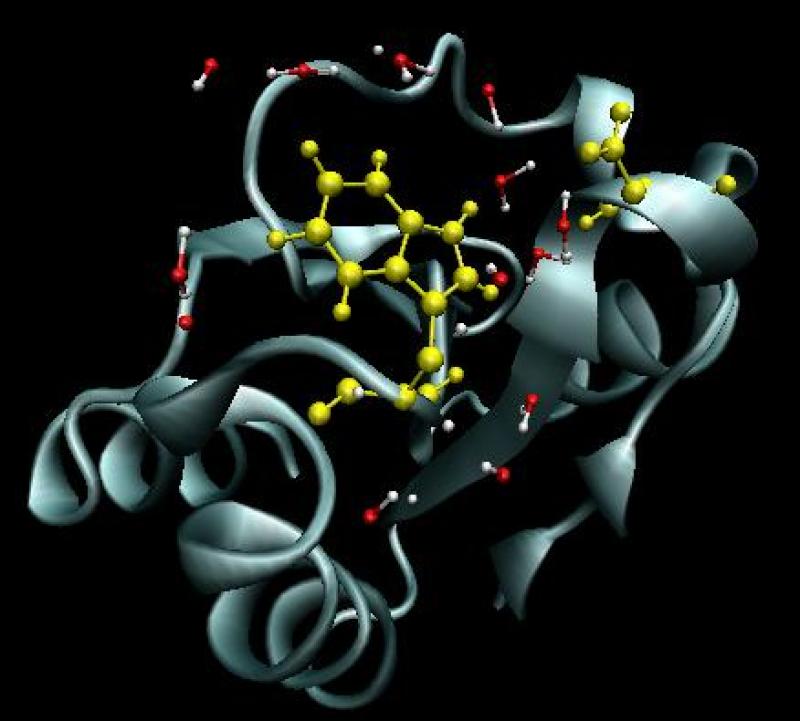 The trp-7 chromophore in myoglobin