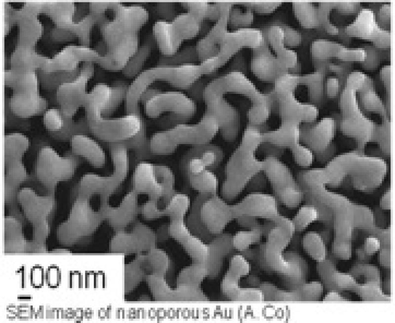 SEMimage of nanoporous Au(A. Co) SEMimage of nanoporous Au(A. Co)