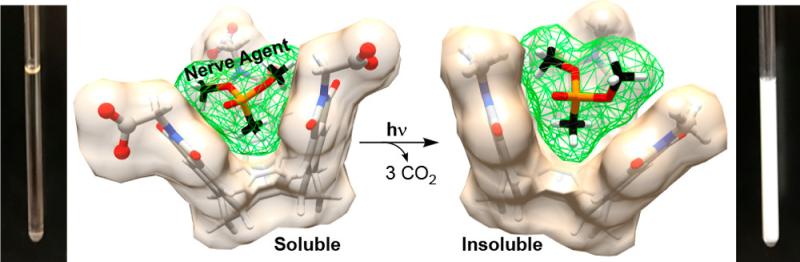 Nerve agent encapsulation model