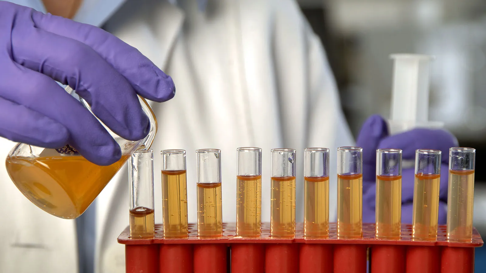 Photograph of scientist pouring colored liquid into row of test tubes.