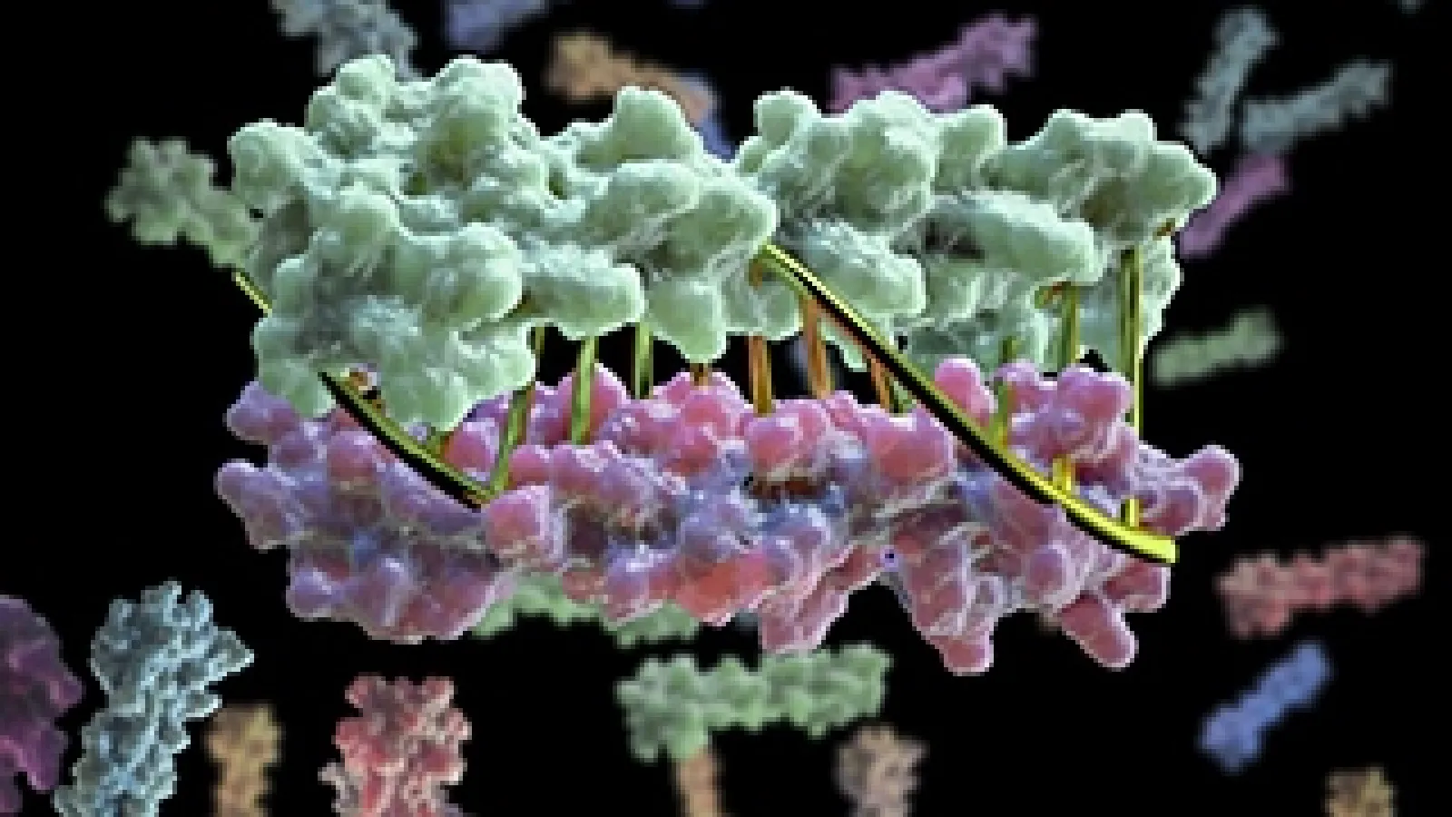 Image Credit: University of Washington Institute for Protein Design
