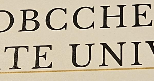 NOBBChE Award for Best Professional Development