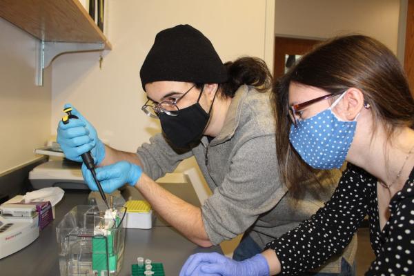 undergraduate students in lab